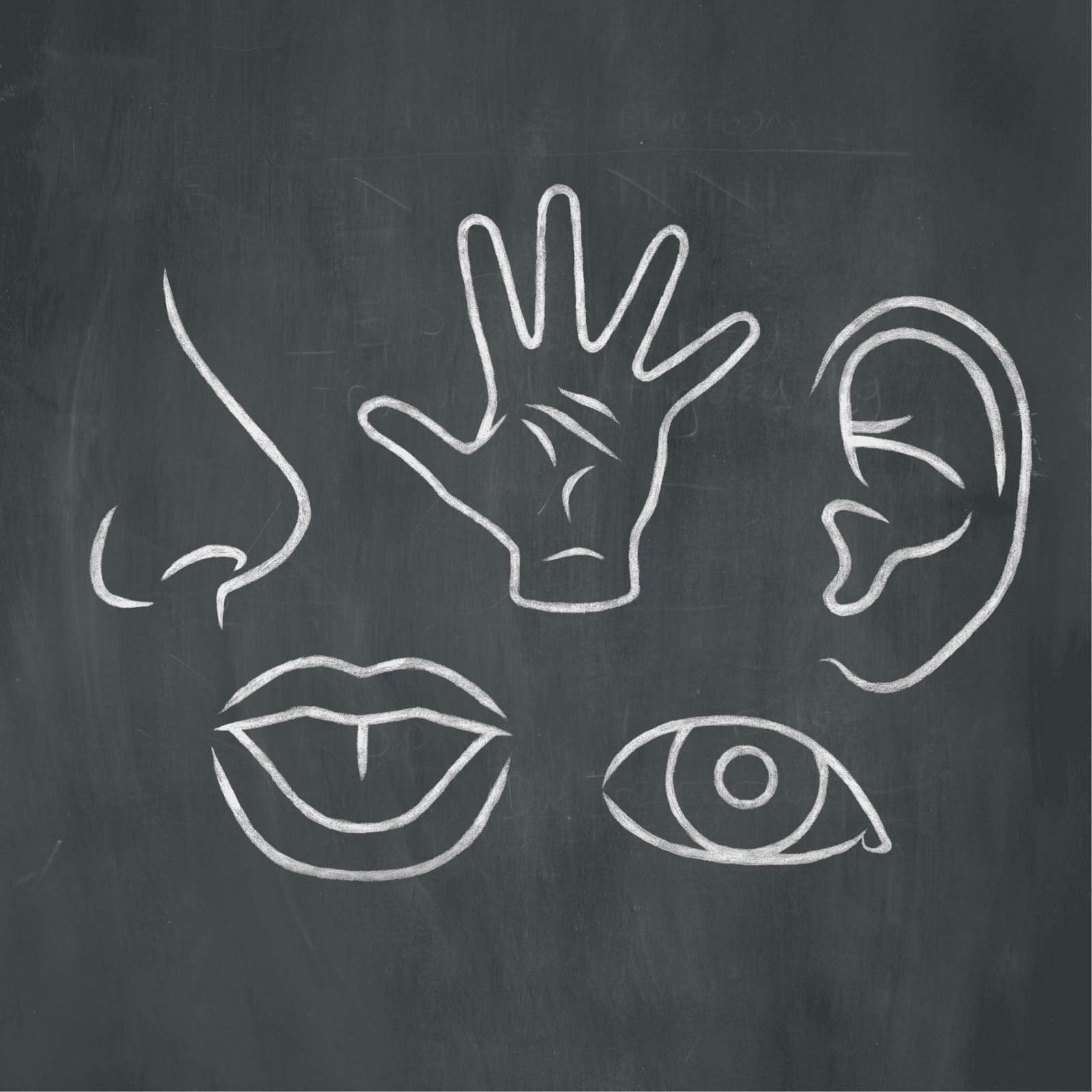 La douleur est-elle une sensation ? 


